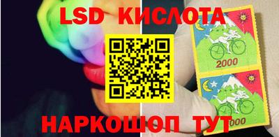 Альфа ПВП Моздок