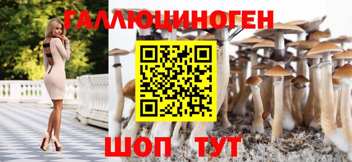 Ялуторовск  где найти наркотики  Вход с VPN  Галлюциногенные грибы GOLDEN TEACHER 